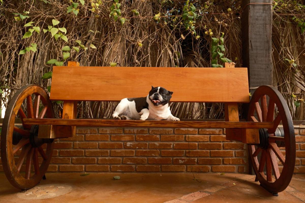 Brotas Eco Hotel Fazenda 外观 照片
