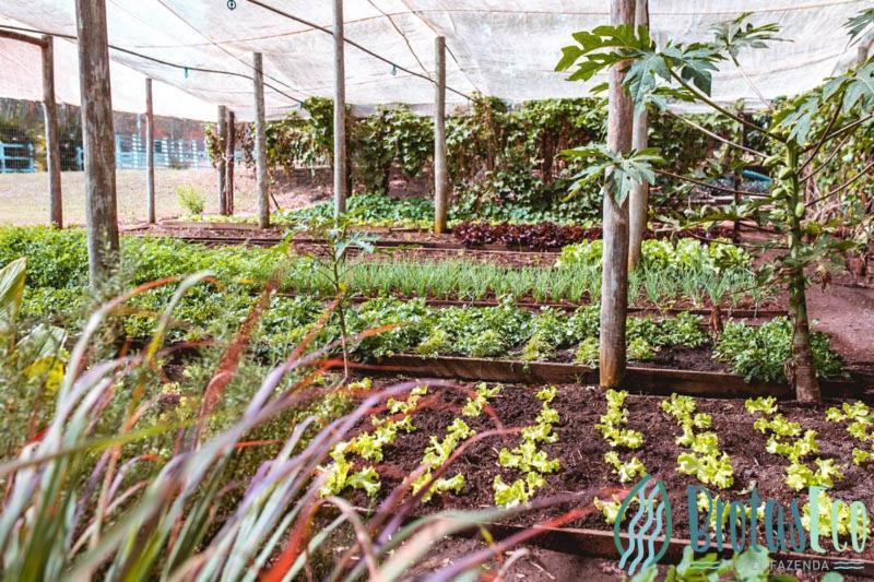 Brotas Eco Hotel Fazenda 外观 照片
