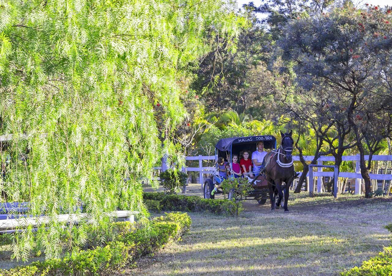 Brotas Eco Hotel Fazenda 外观 照片